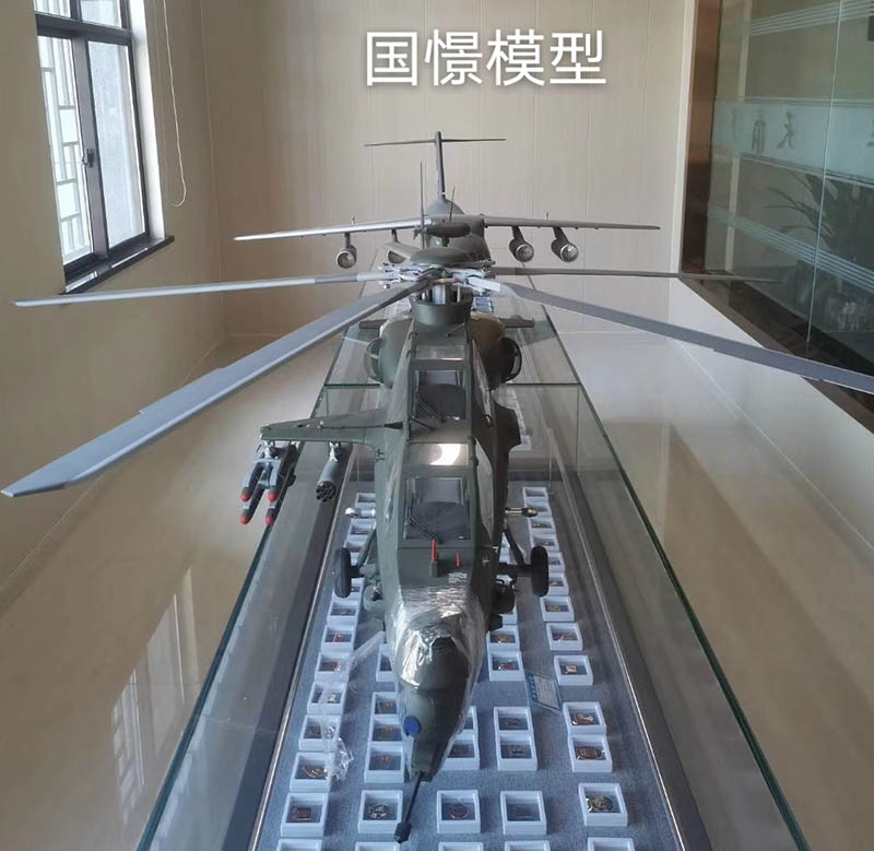 长顺县飞机模型
