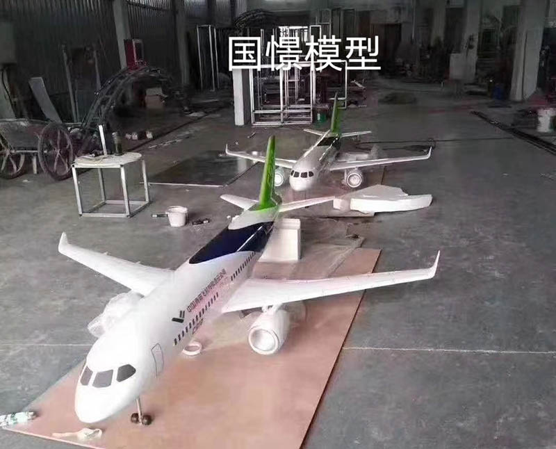 长顺县飞机模型