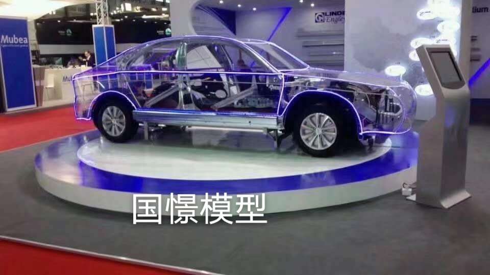 长顺县透明车模型