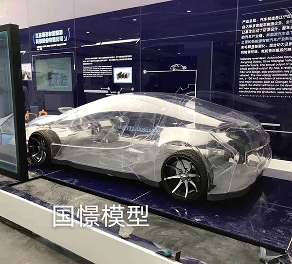 长顺县透明车模型